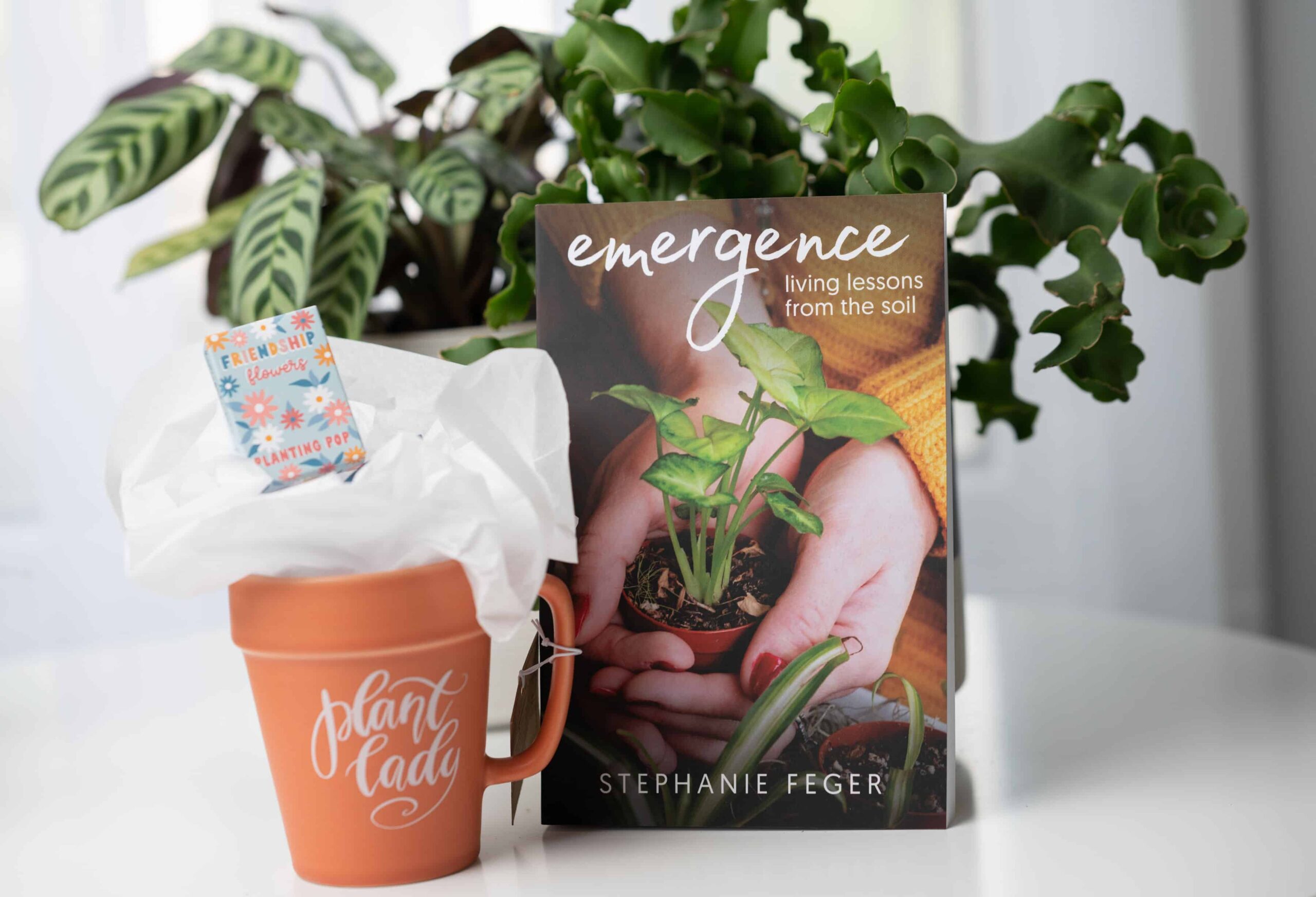 Emergence Book and Mug Bundle